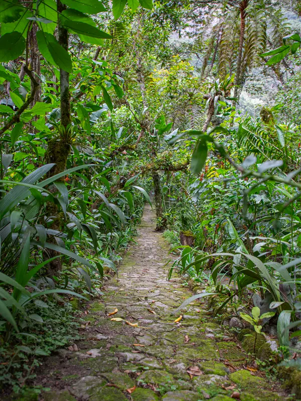 Hike Through the Mandor Gardens | TreXperience