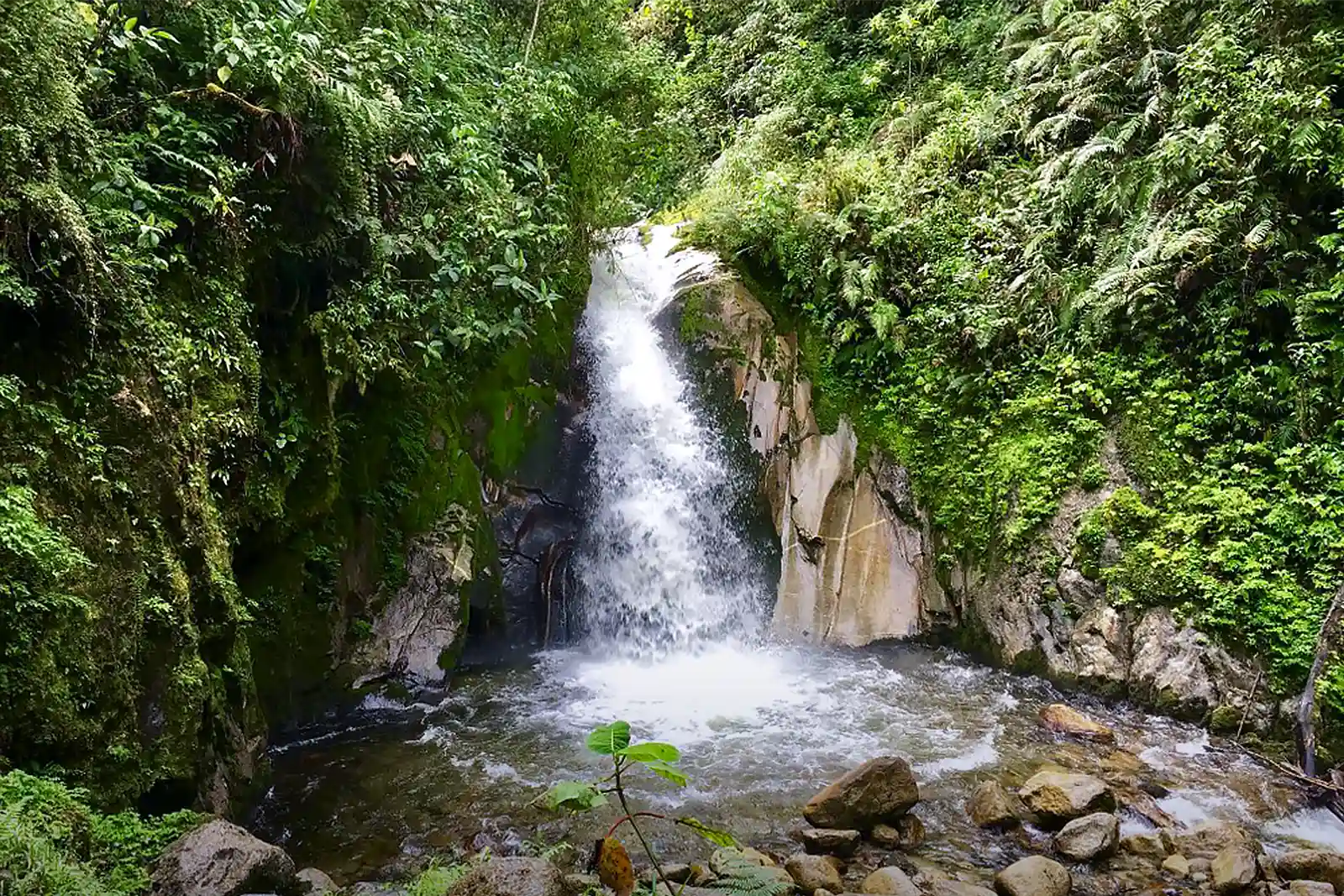 Mandor Waterfall - Things to do in Aguas Calientes besides | TreXperience