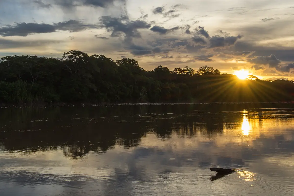 manu national park extension | TreXperience