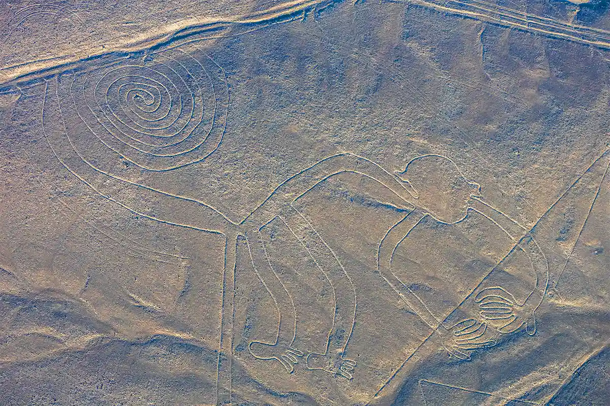 The Monkey - Nazca Lines