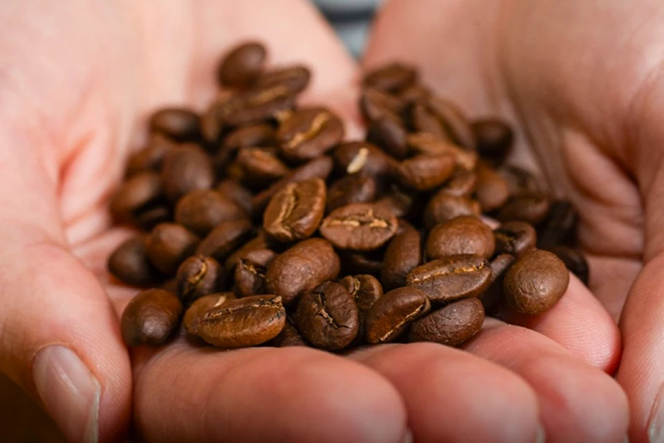 National Coffee Festival in Pasco | TreXperience