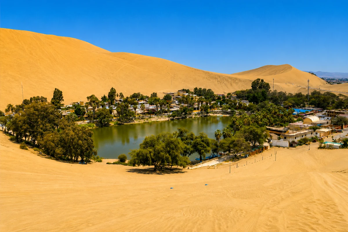 Oasis de la Huacachina Oasis de la Huacachina | TreXperience