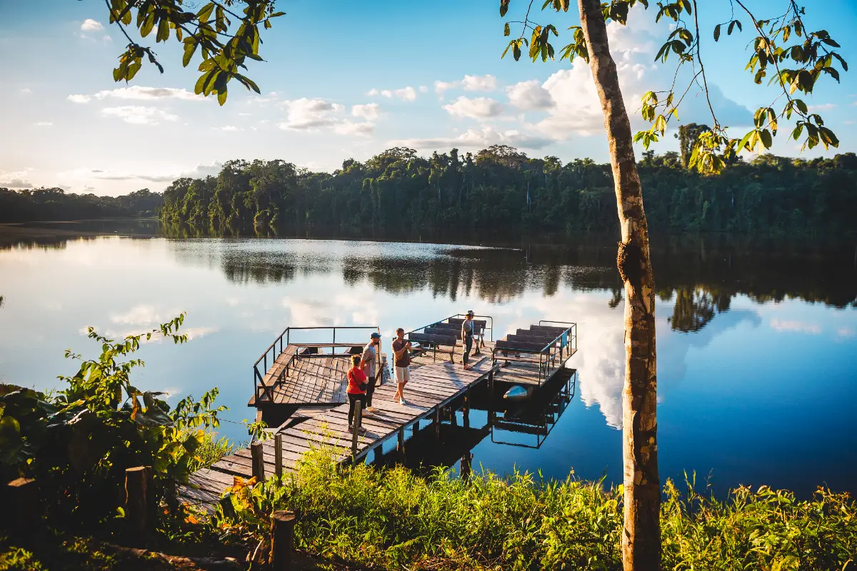 Wooden Dock on Tambopata Jungle Lake | TreXperience Wooden Dock on Tambopata Jungle Lake | TreXperience