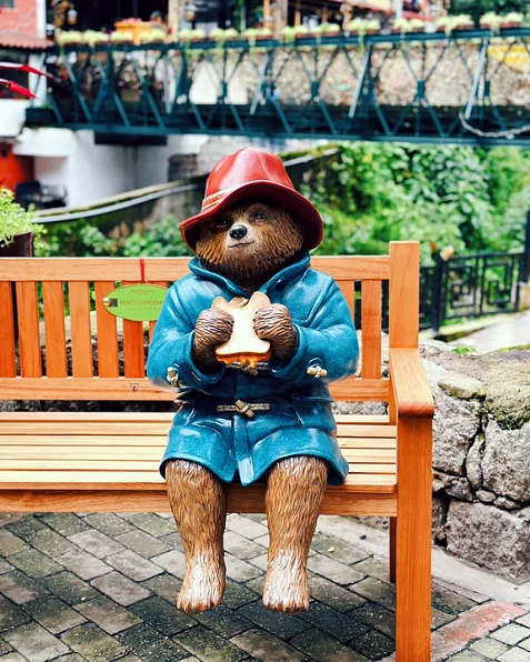 Paddington Bear in Machu Picchu | TreXperience