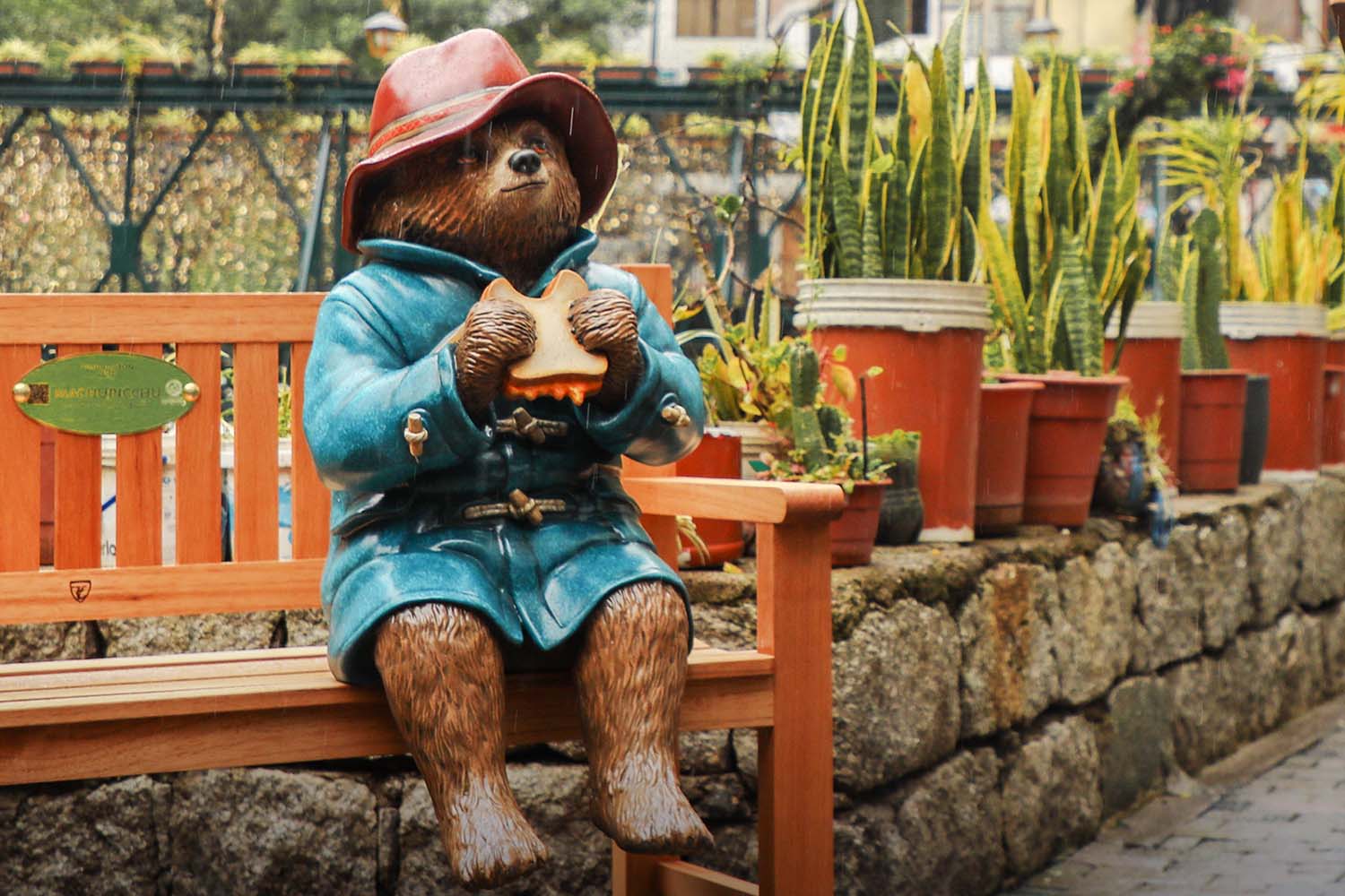 Oso Paddington en Machu Picchu | TreXperience