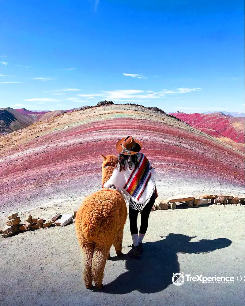 Traveler and llama in Palcoyo | TreXperience Traveler and llama in Palcoyo | TreXperience