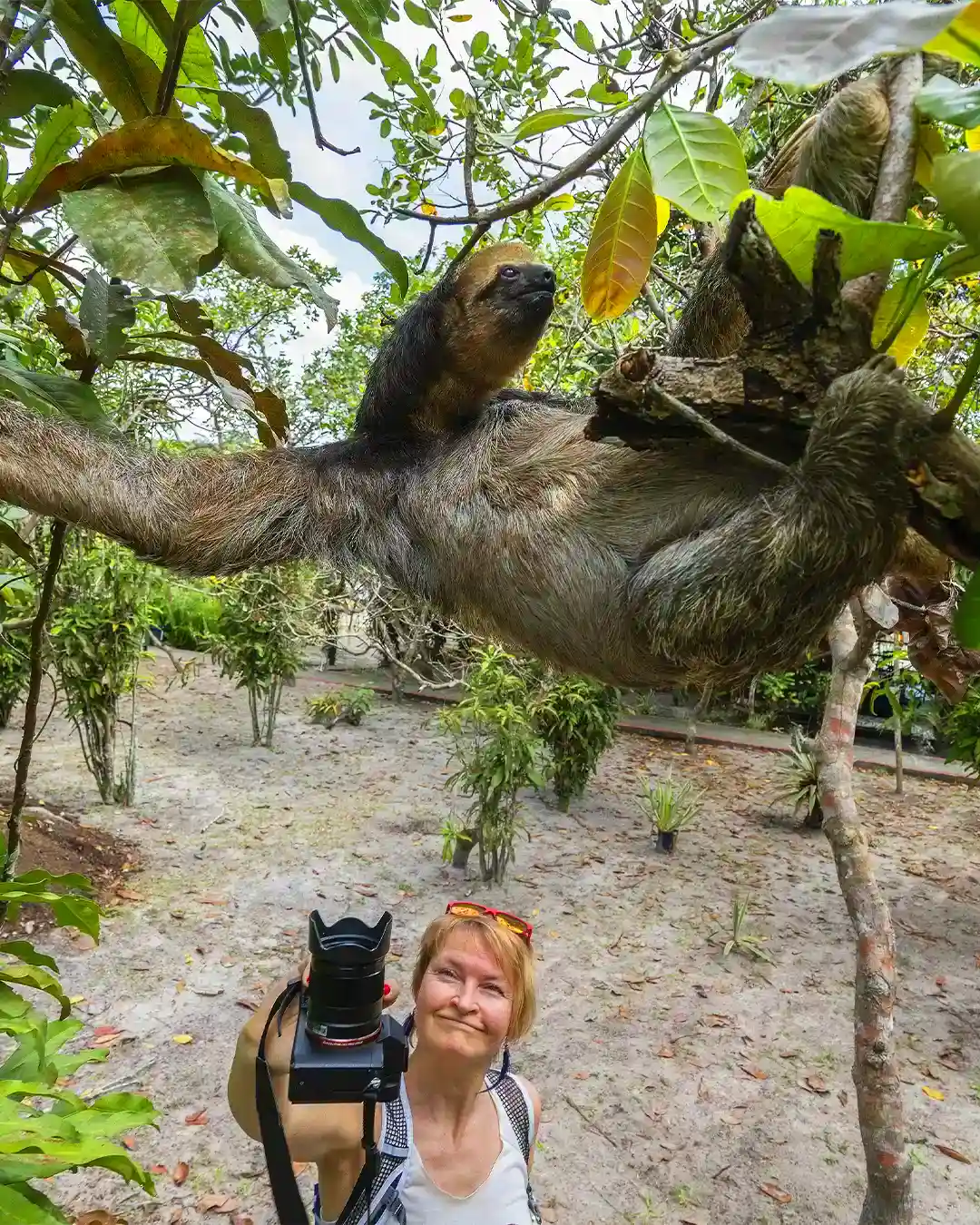 Camara fotografica en la Amazonia del Perú | TreXperience