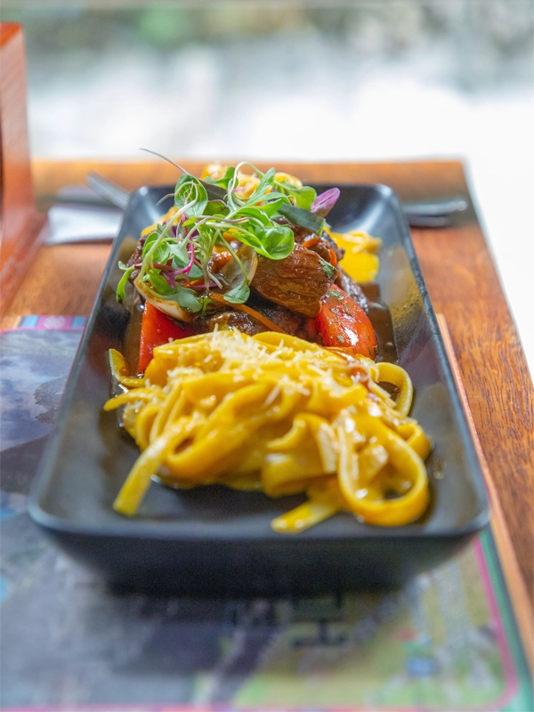 Lomo saltado con huancaína Lomo saltado con huancaína | TreXperience
