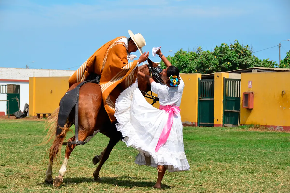 marinera peruana - TreXperience