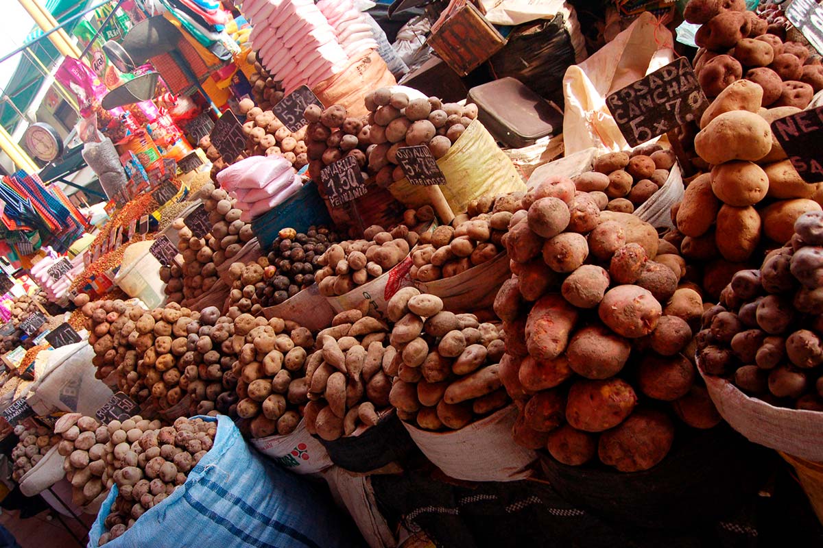 peruvian potatoes types colors | TreXperience
