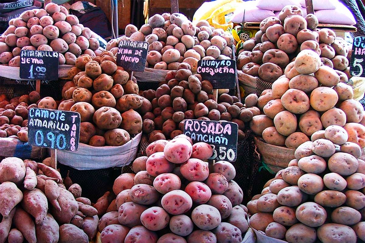 peruvian potatoes variety market | TreXperience