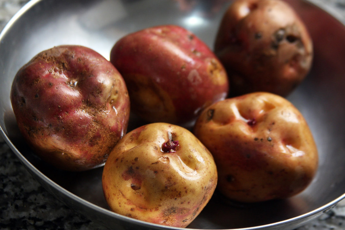 peruvian yellow potatoes | TreXperience