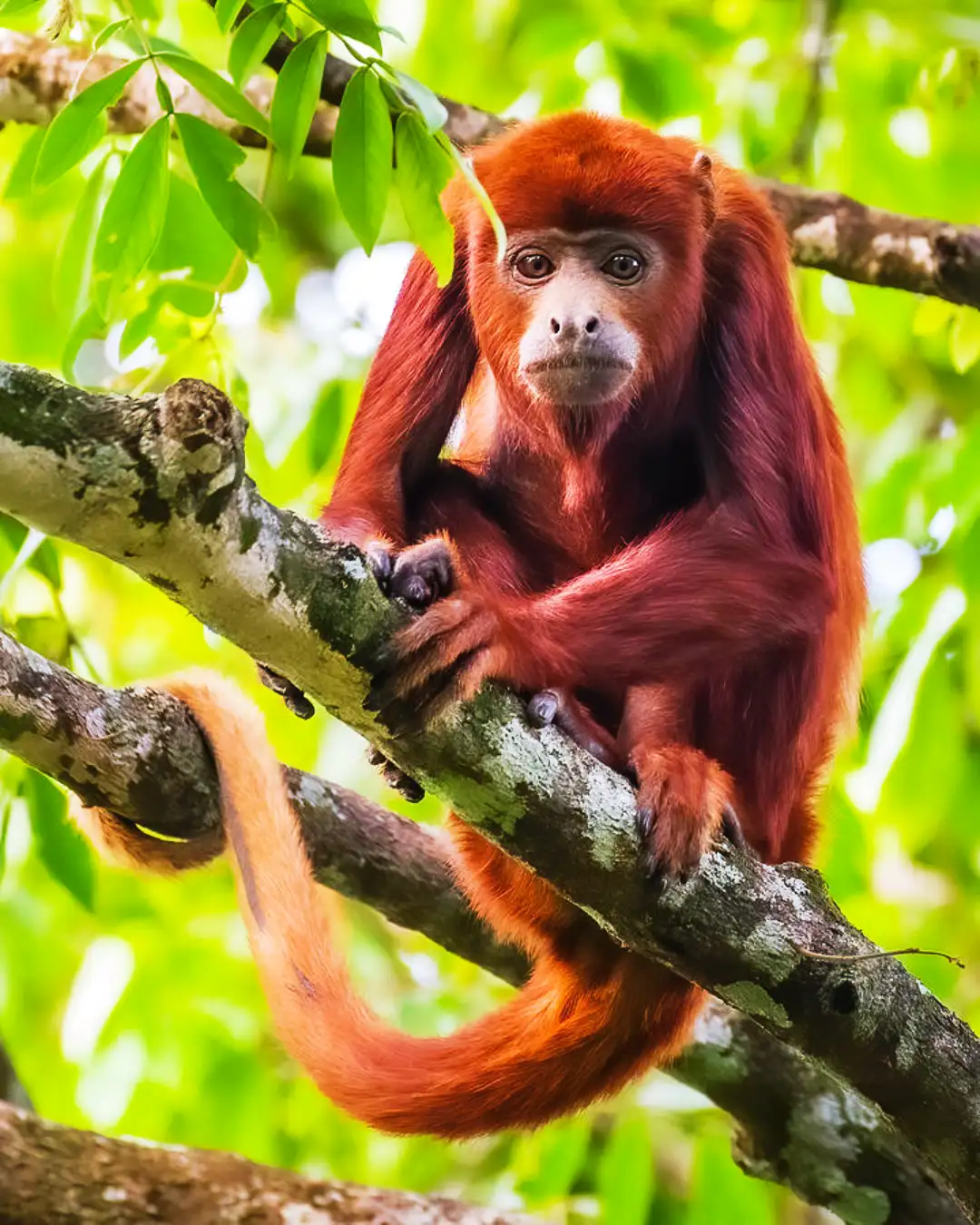 Lugares turísticos en Madre de Dios | TreXperience