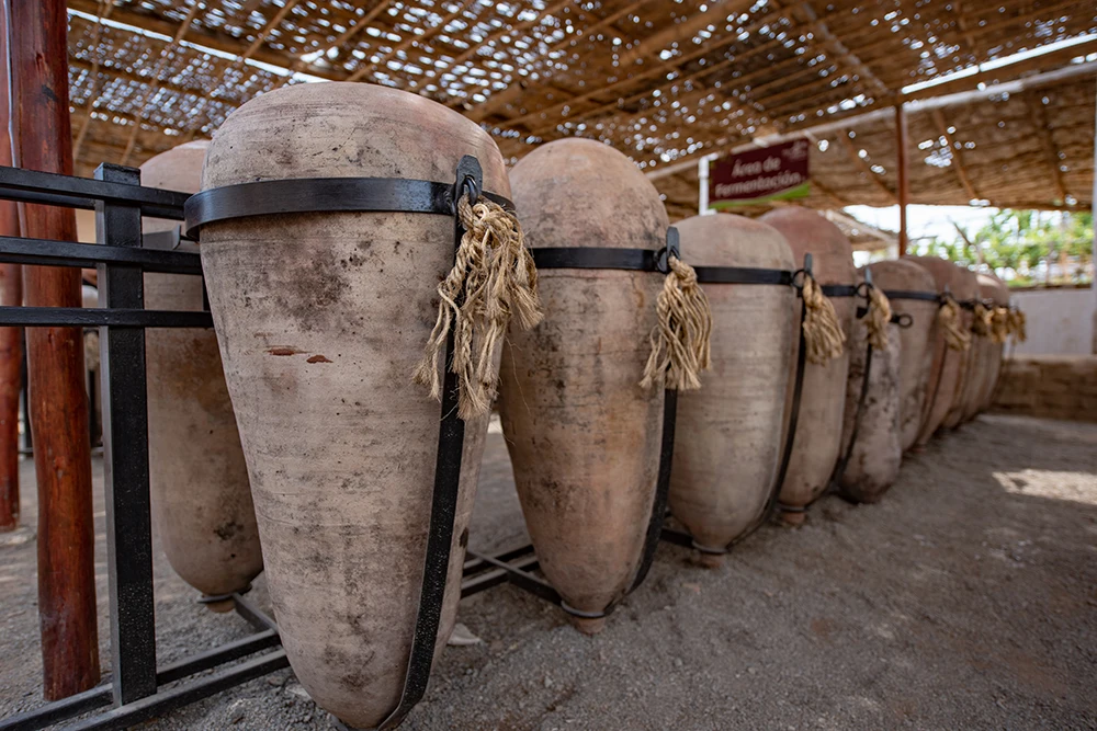 Pisco fermentation - History and Production of Peru's Emblematic Drink