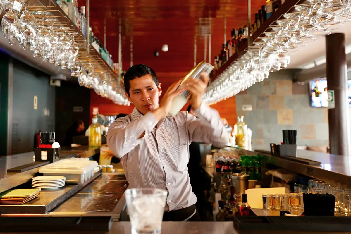 Bartender dry-shaking a Pisco Sour | TreXperience