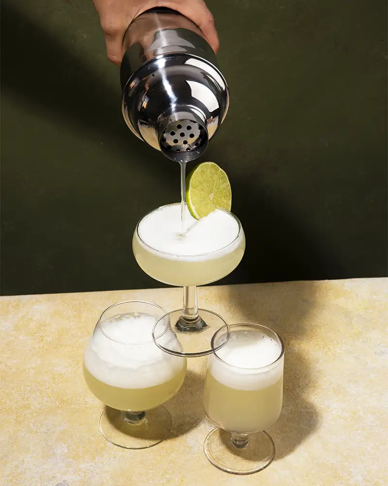Glass of Pisco Sour | TreXperience