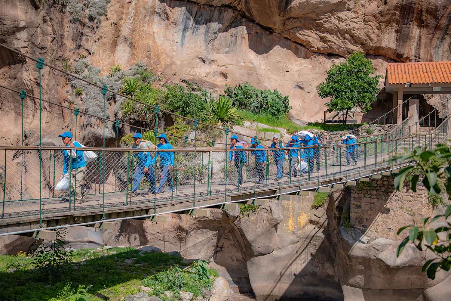 Porters in the reforestation campaign Inca Trail | TreXperience