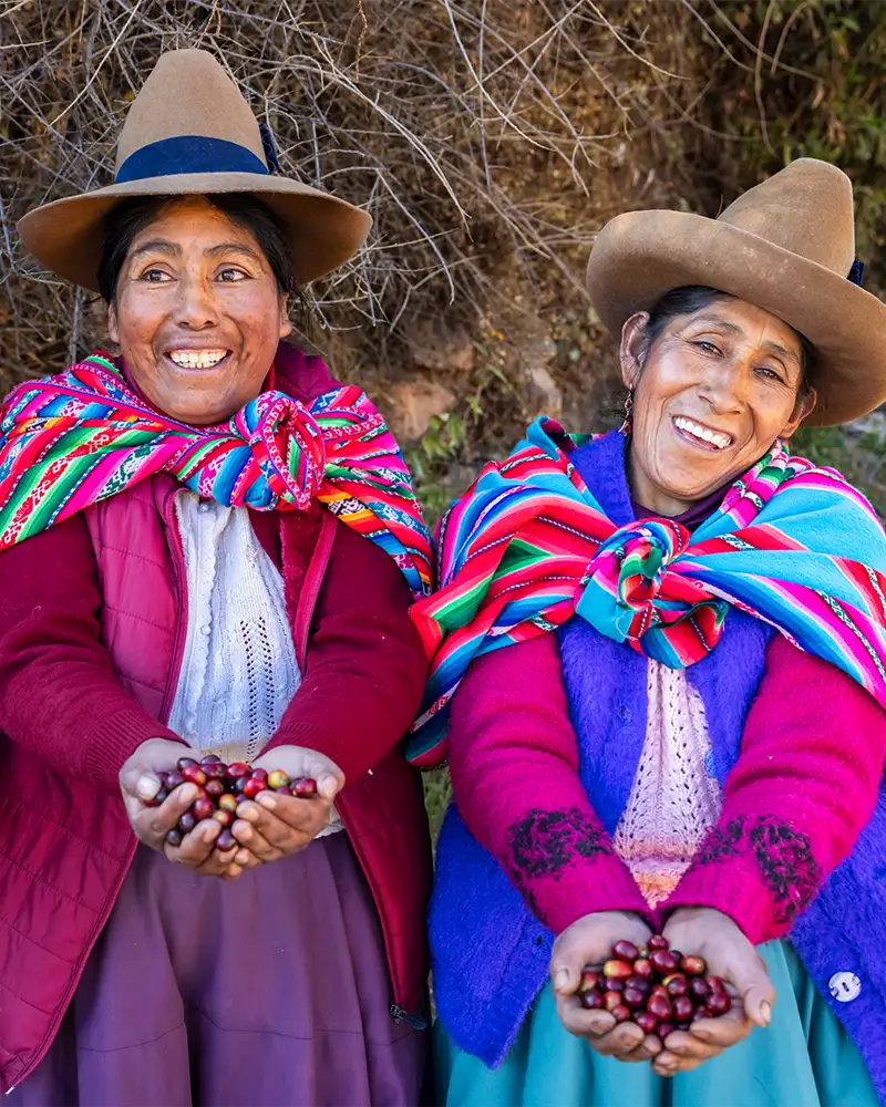 Recolectoras de café en Puno | TreXperience