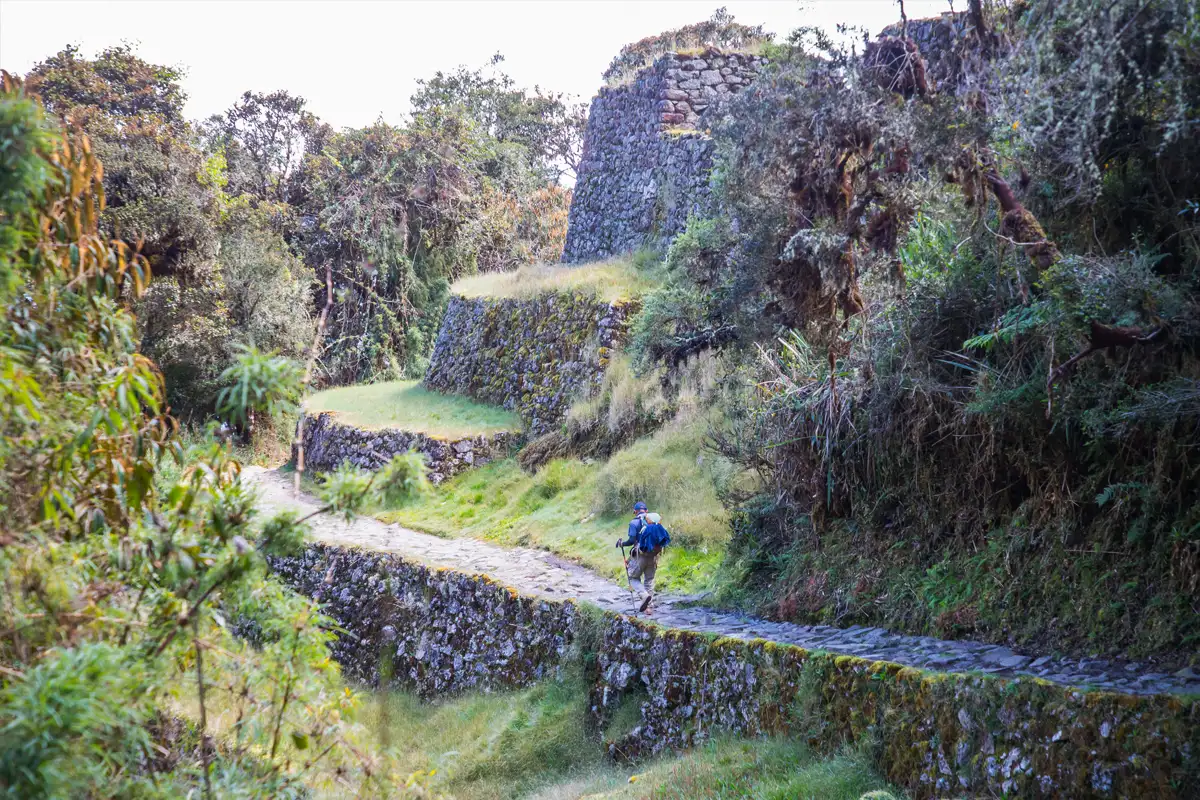 Camino Inca por la Selva | TreXperience