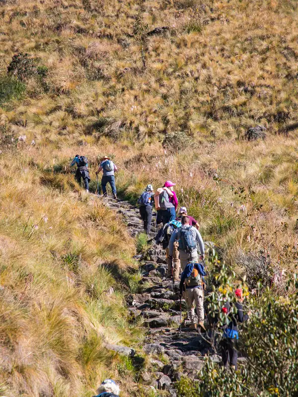 Qhapaq Ñan por la puna | TreXperience