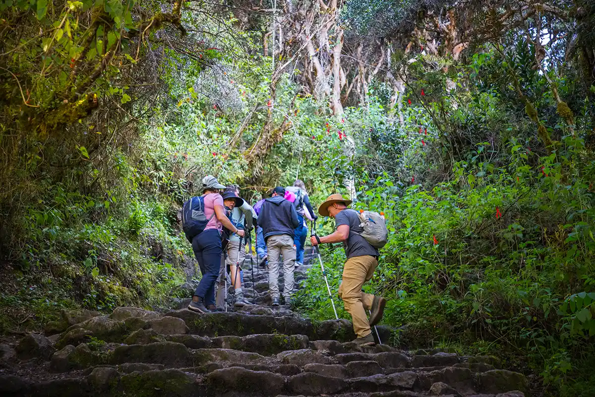 que es el camino inca | TreXperience