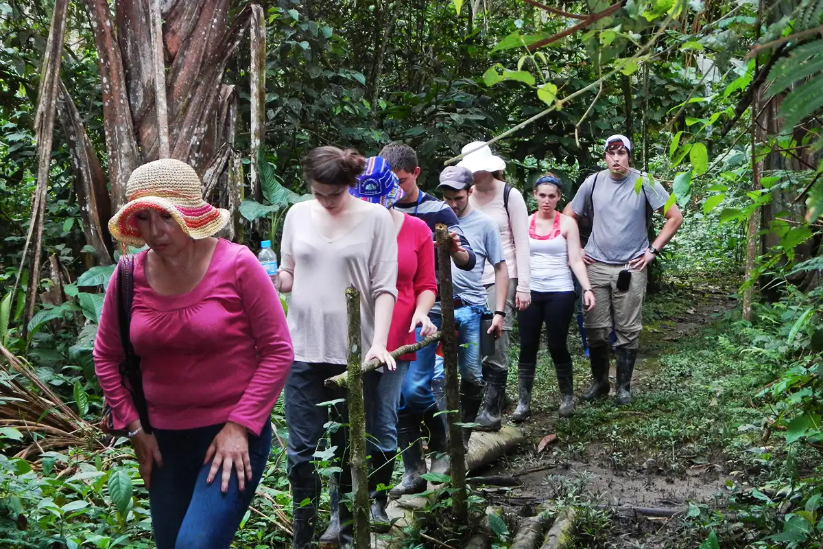 que vestir manu | TreXperience