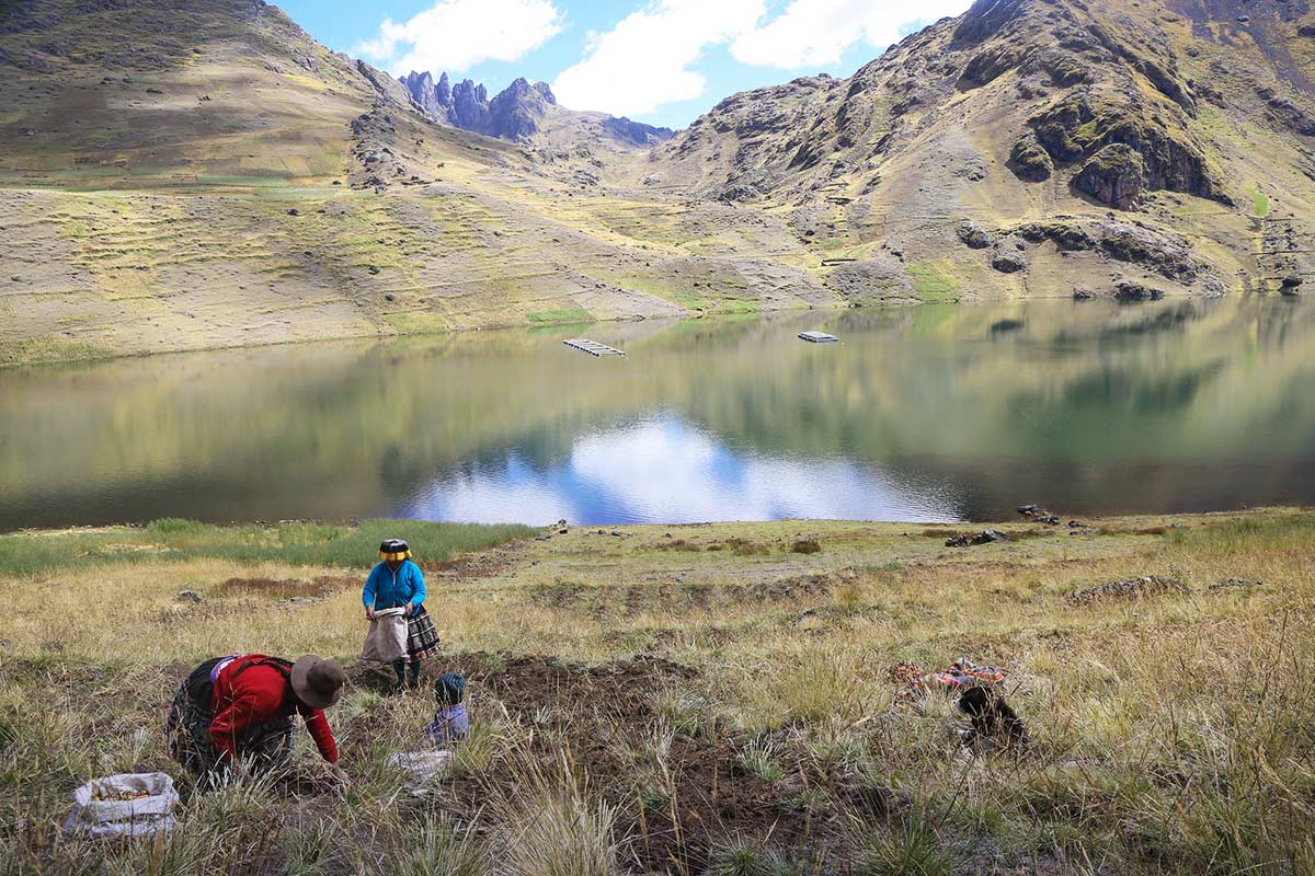 quechua idioma gente andina | TreXperience