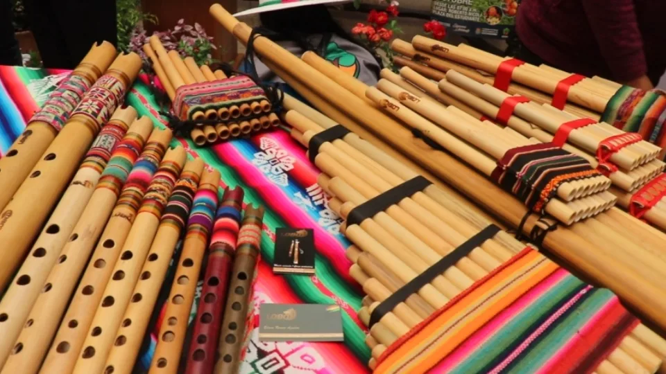 Peruvian instruments | TreXperience