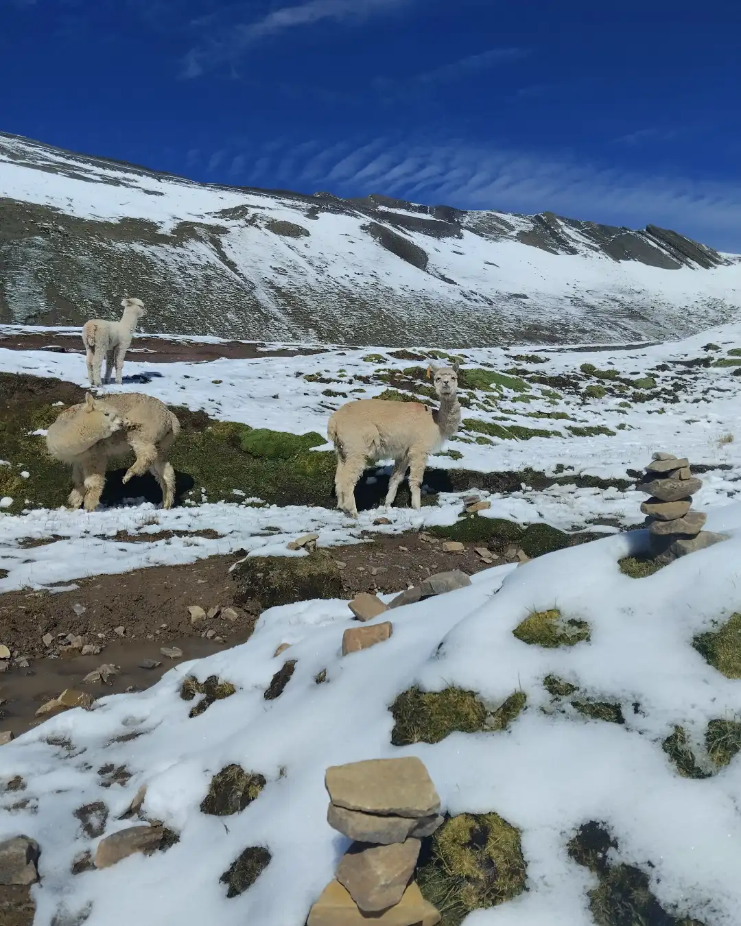 Visita a la Montaña de Colores en marzo | TreXperience