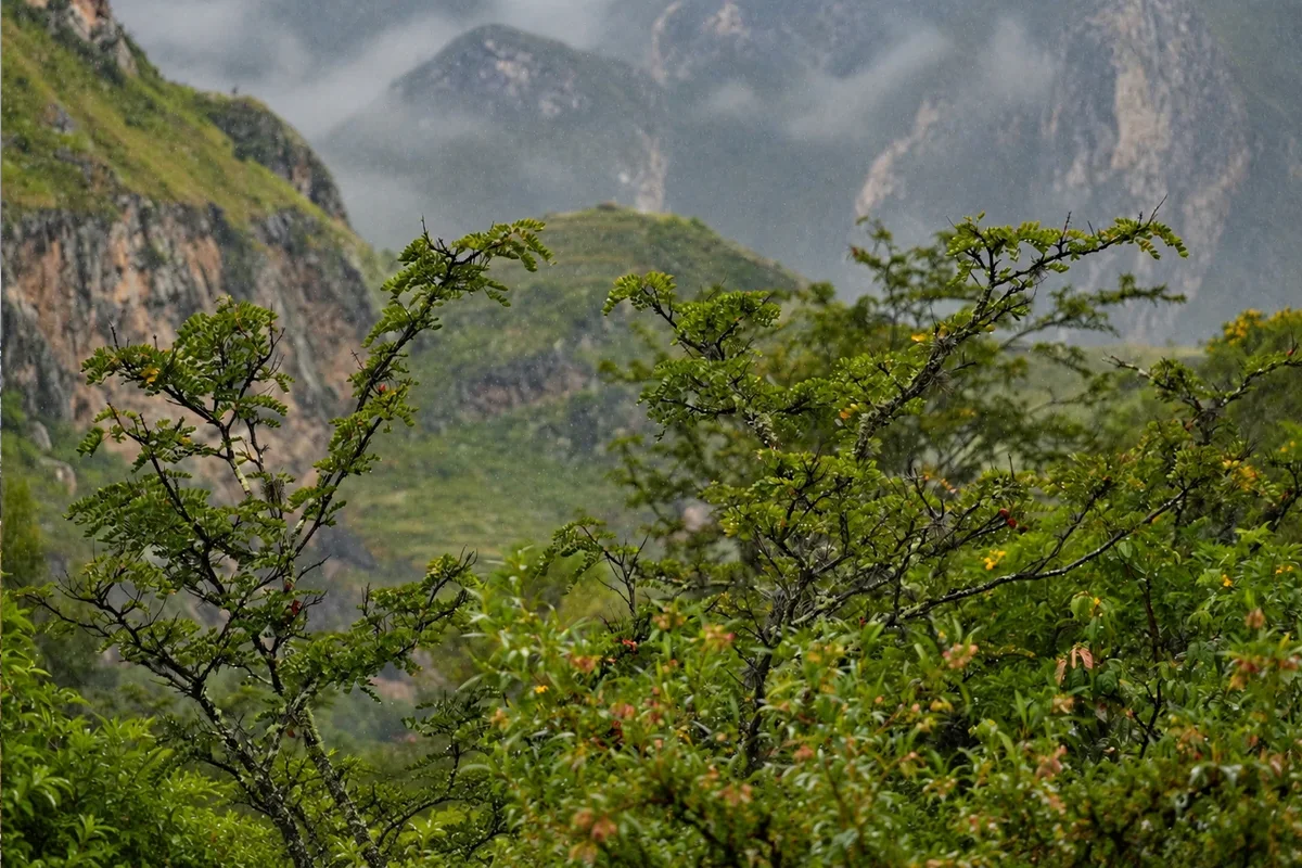 Lluvias en las Montañas de Cusco Lluvias en las Montañas de Cusco | TreXperience