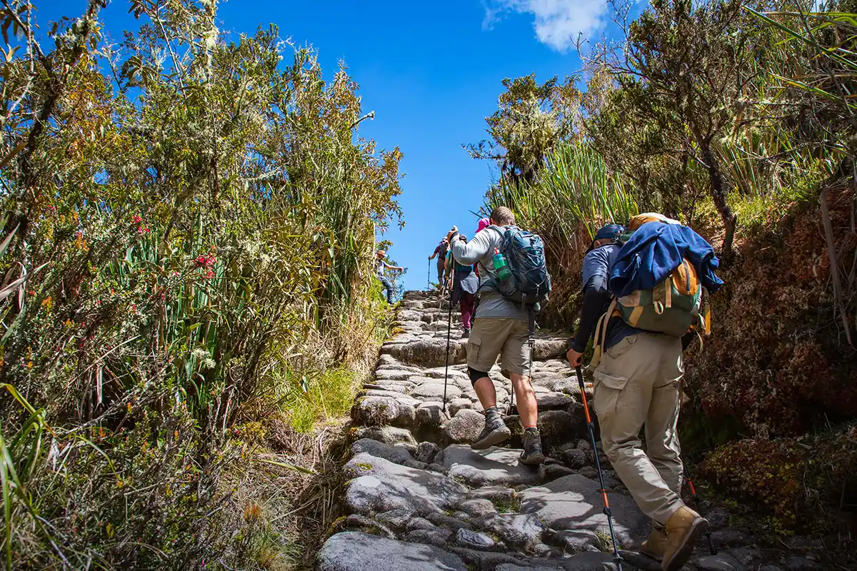 reservar camino inca opciones | TreXperience