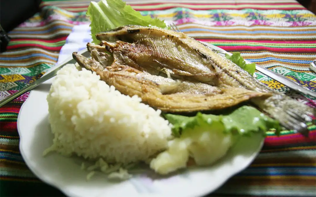 Pescado frito con arroz | TreXperience