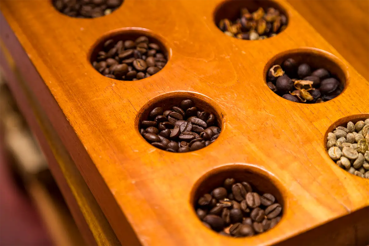 Nivel de tueste de los granos de café peruano | TreXperience