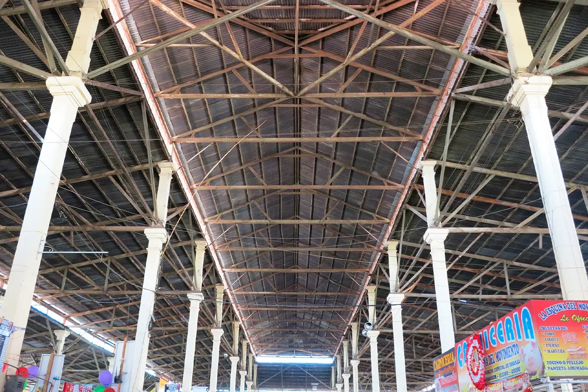 techo mercado san pedro | TreXperience