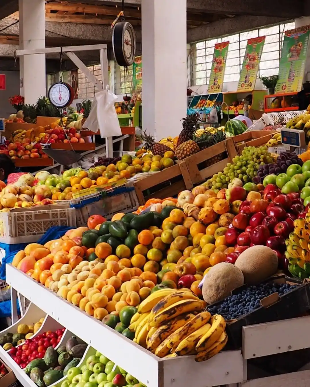 San Blas market | TreXperience