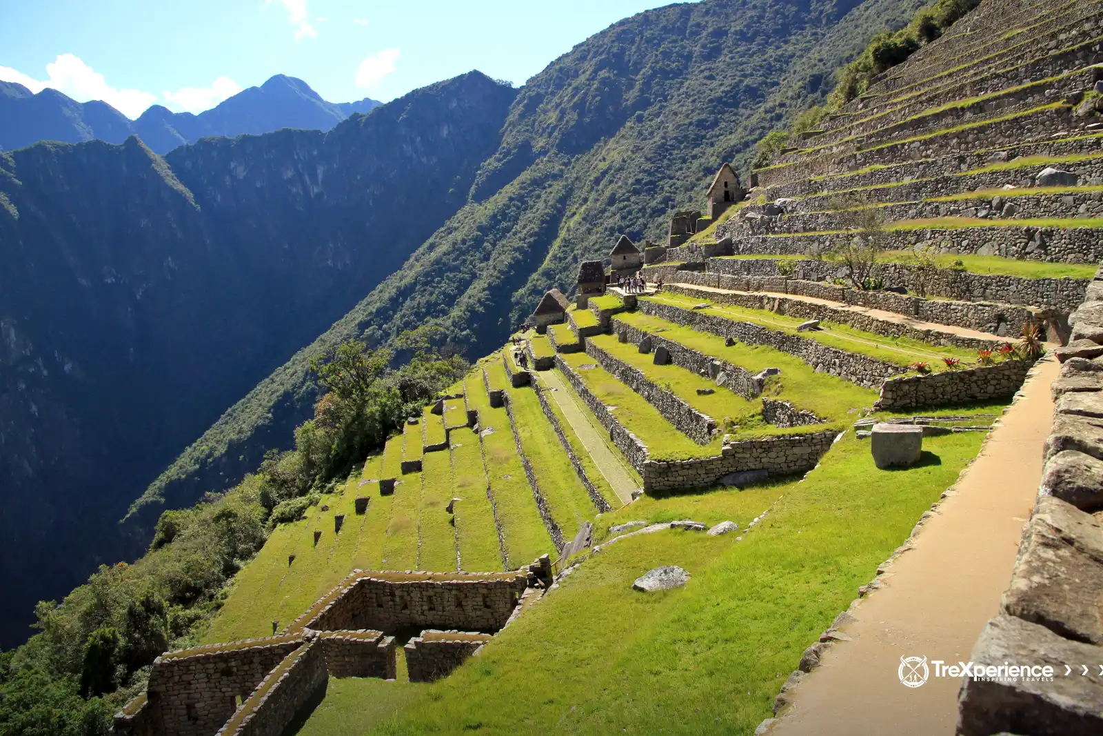 agricultural sector of Machu Picchu | TreXperience