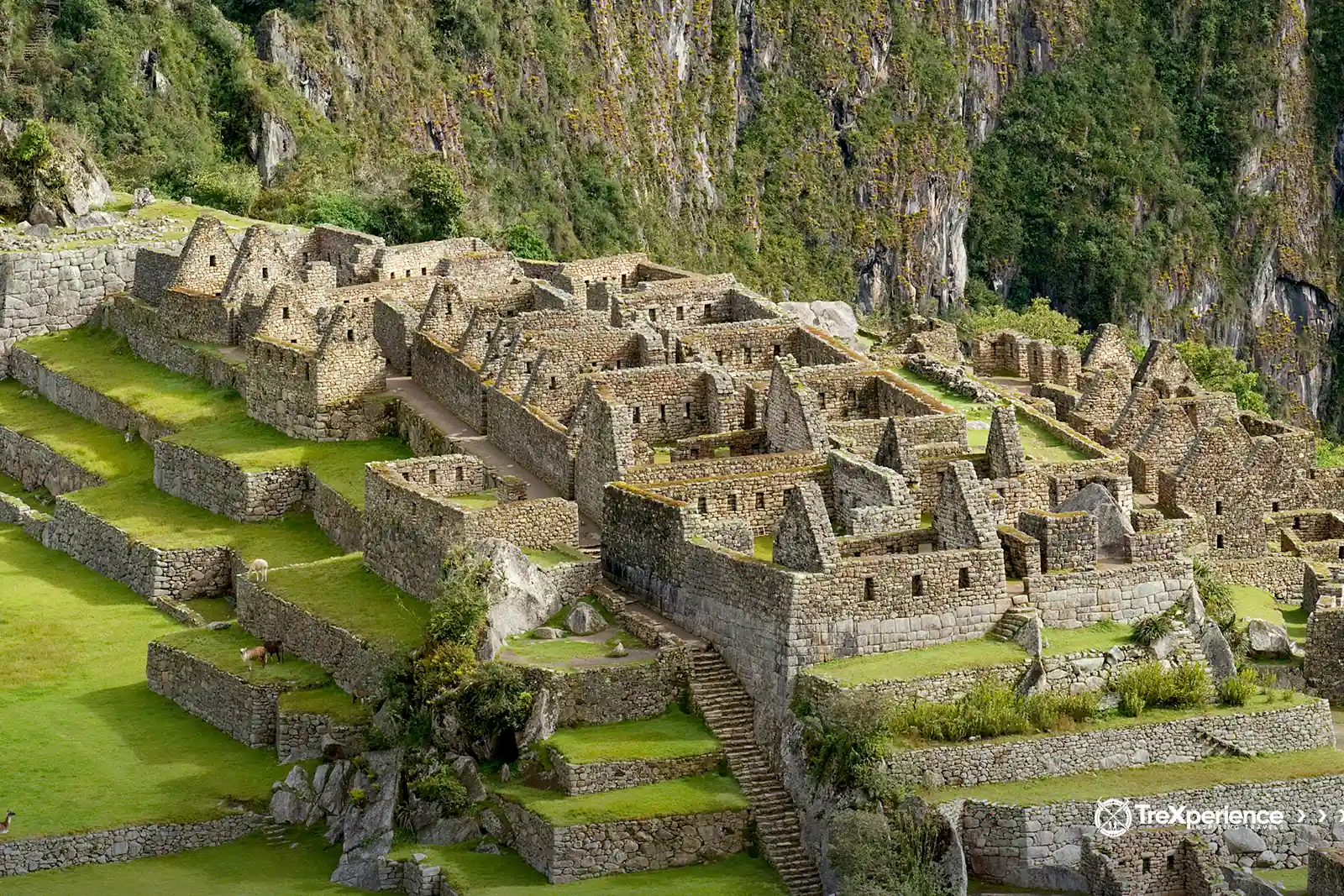 Urban sector of Machu Picchu | TreXperience