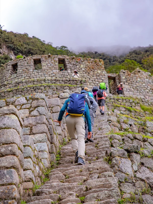 Short Hike to Machu Picchu Short Hike to Machu Picchu | TreXperience