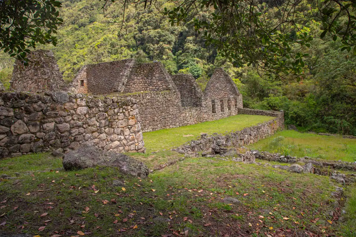 Sitio arqueológico de Chachabamba rodeado de vegetación en el Camino Inca corto | TreXperience