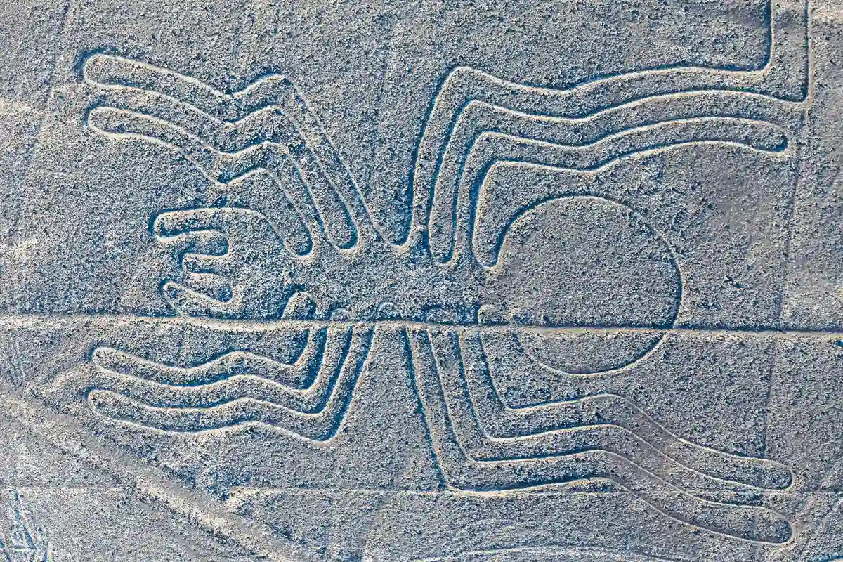 The Spider - Nazca Lines