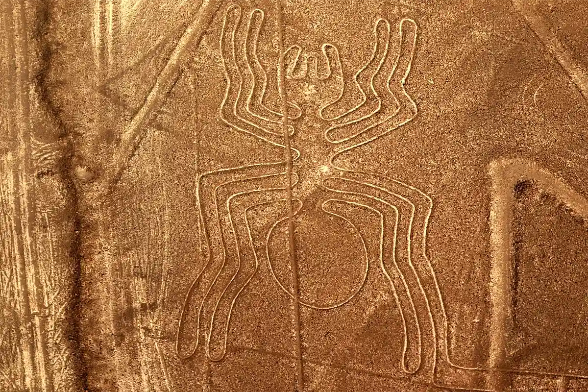 Nazca Line in the shape of a spider | TreXperience