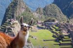 Machu Picchu Peru | TreXperience