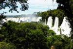 Amazonas Peru | TreXperience