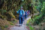 Inca Trail to Machu Picchu | TreXperience
