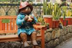 Paddington in Machu Picchu | TreXperience