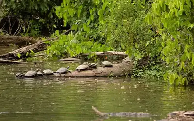 Camino de los Incas y de la Cultura Peruana