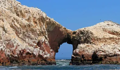 Ballestas Islands travel guide | TreXperience