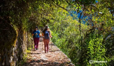 Inca Trail hike | TreXperience