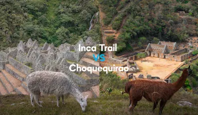 Inca Trail & Choquequirao Trek | TreXperience
