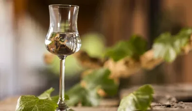 Pisco peru